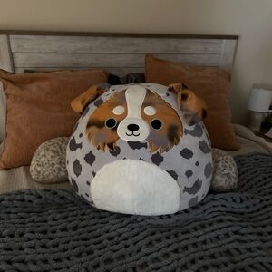 Australian shepherd squish mallow